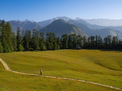 Shangarh- meadows