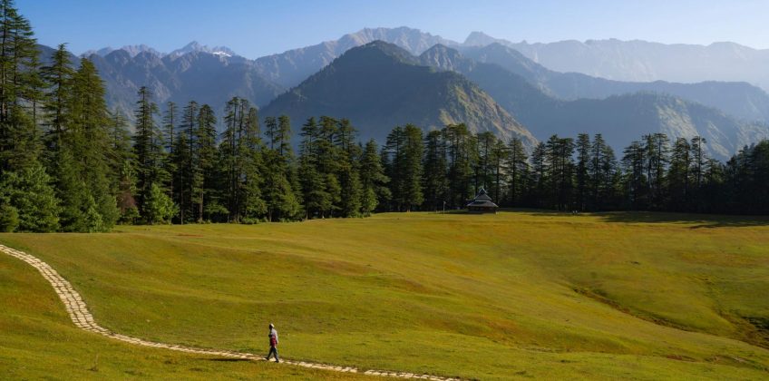 Shangarh- meadows
